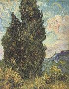 Vincent Van Gogh Cypresses (nn04) USA oil painting reproduction